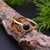 solid 925 sterling silver Black Onyx ring  Gold Vermeil Ring