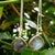 Labradorite Earring, Solid Silver Earring, Deep Blue Flash Labradorite, Minimalist Earring, Bezel Earring, Handmade, Gift for Her, For Sale