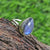 Labradorite Ring, 925 Sterling Silver Ring, Labradorite Statement Ring, Labradorite Boho Ring