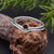 natural Garnet Gem Ring, 925 Sterling Silver Garnet Ring, Natural Garnet Jewelry, Garnet Silver Ring, Red Stone Ring, Dainty Ring